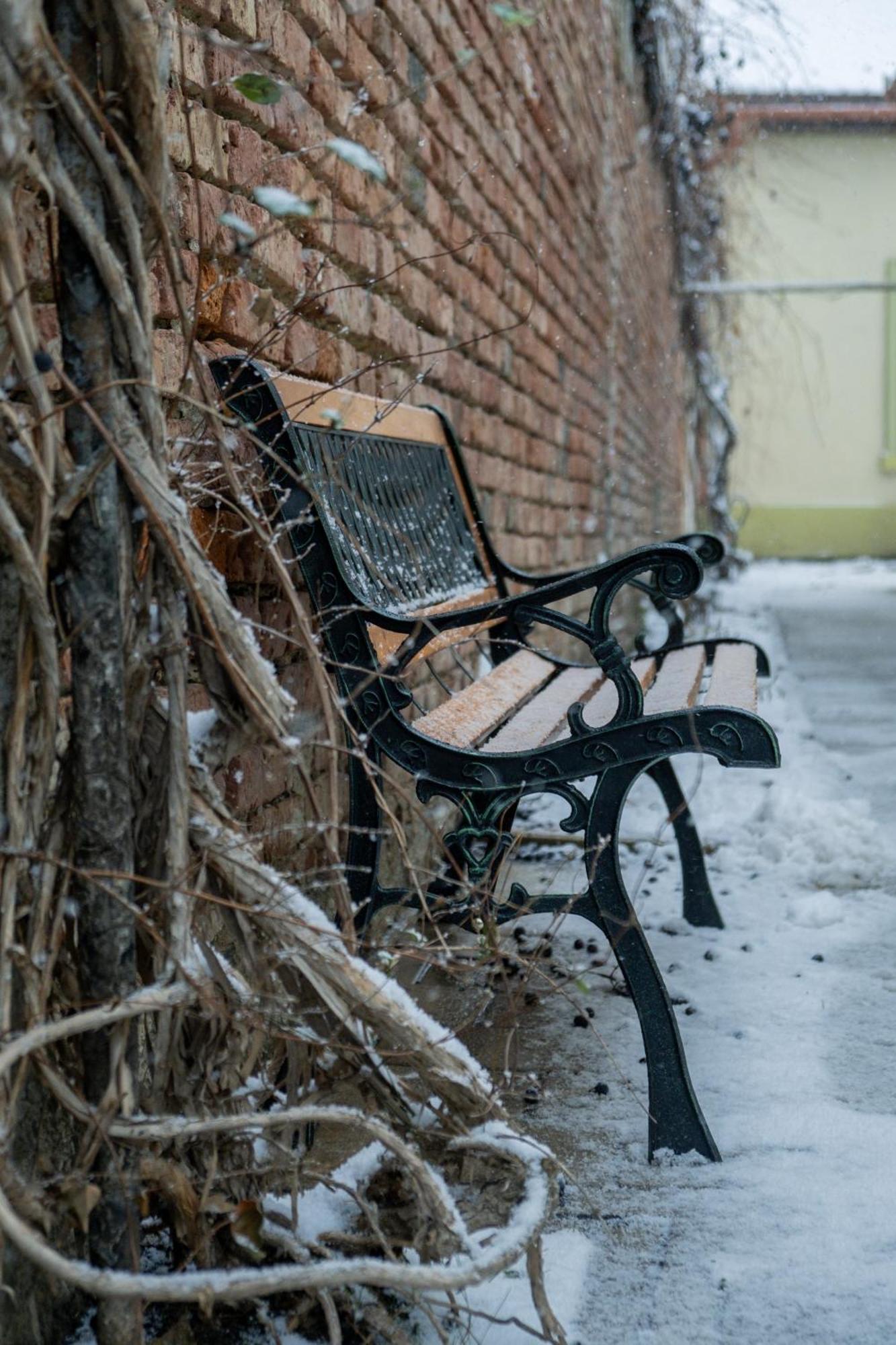 Casa Puscariu Lägenhet Braşov Exteriör bild